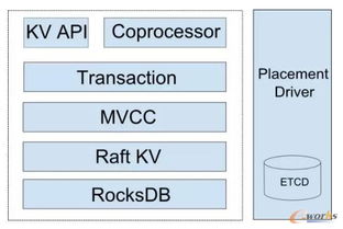 劉奇談如何構(gòu)建一個(gè)NewSQL數(shù)據(jù)庫 數(shù)據(jù)處理與存儲支持服務(wù)